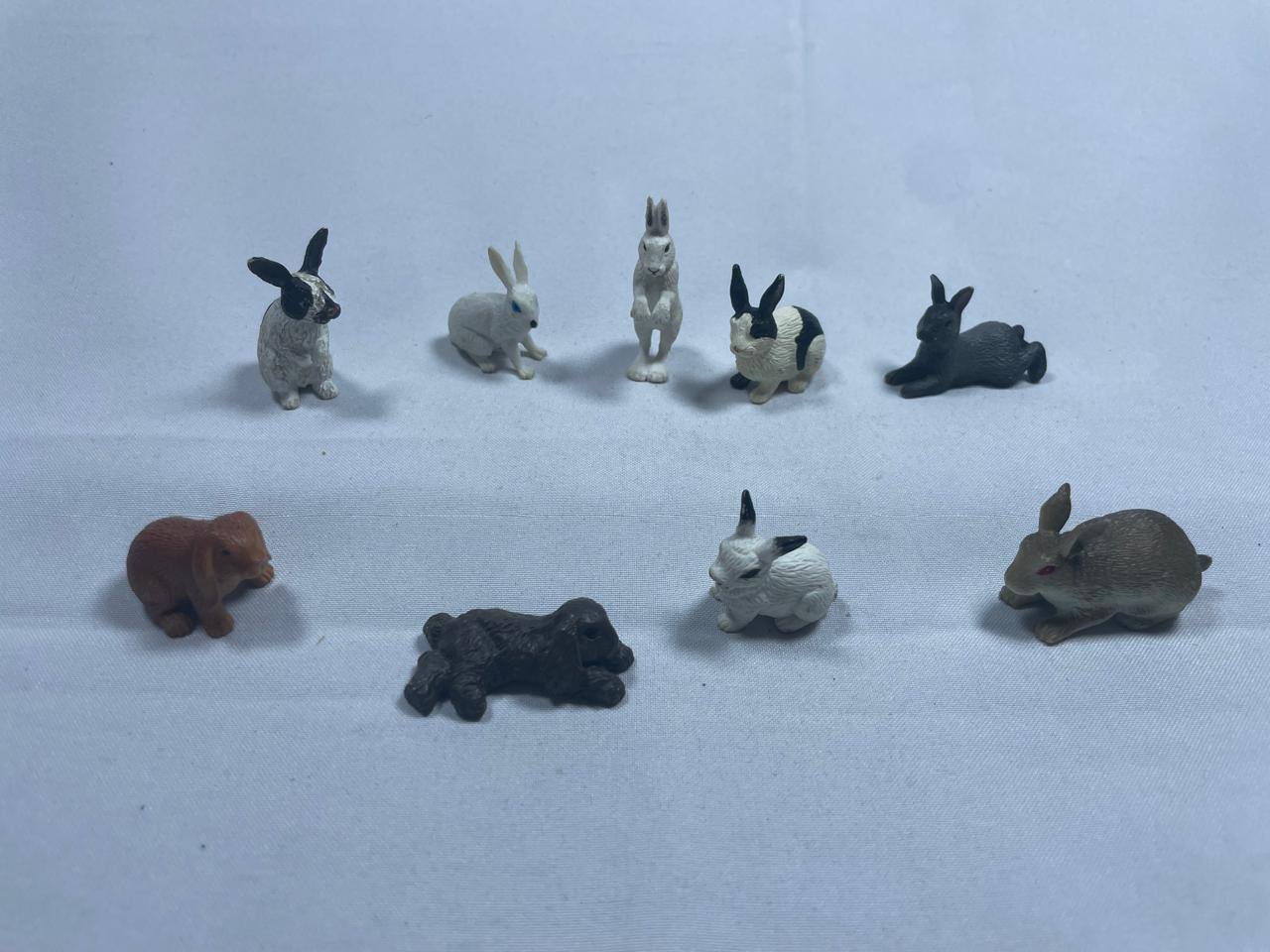 Colección de Conejitos: Saltos y Diversión.