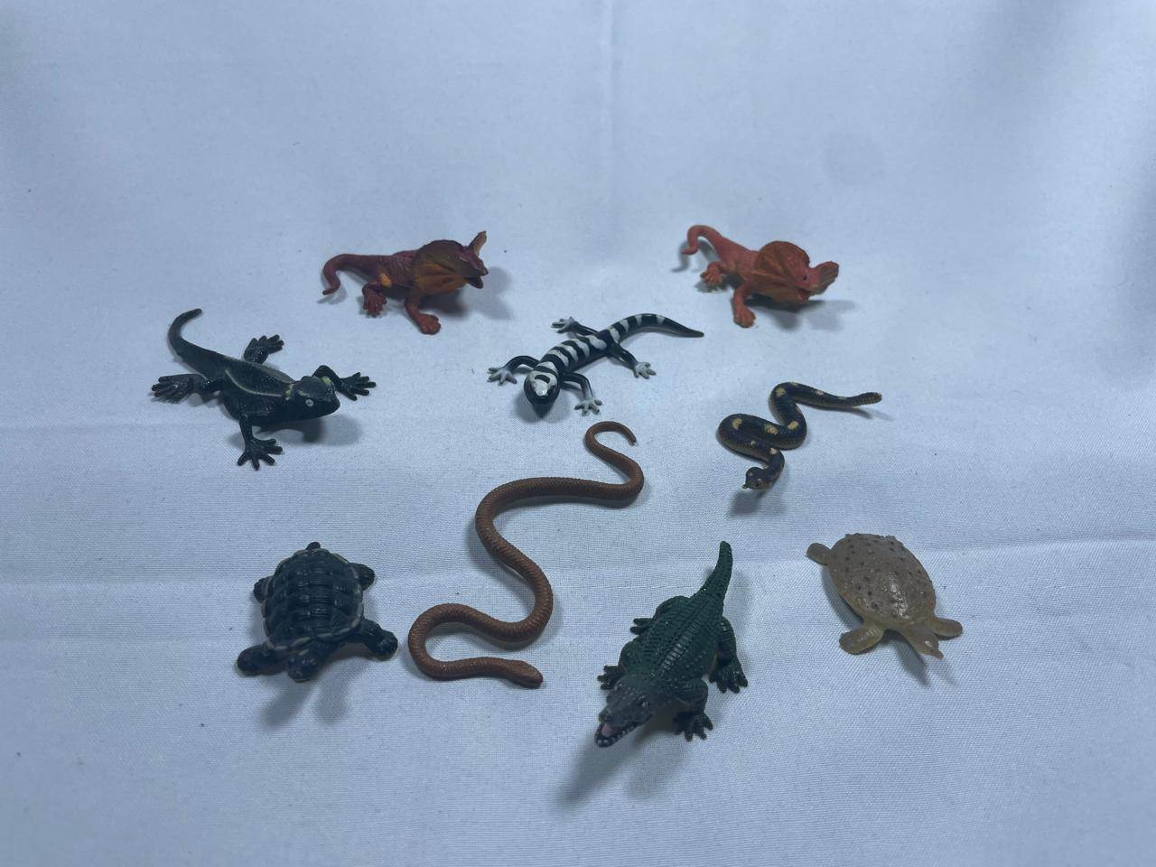 Colección de Reptiles: Depredadores Escamosos.