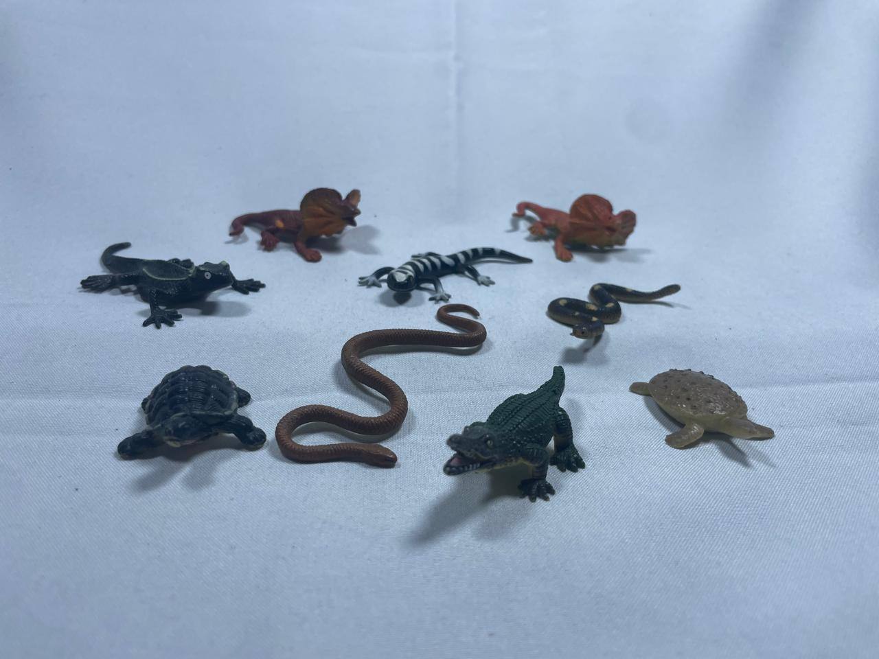 Colección de Reptiles: Depredadores Escamosos.