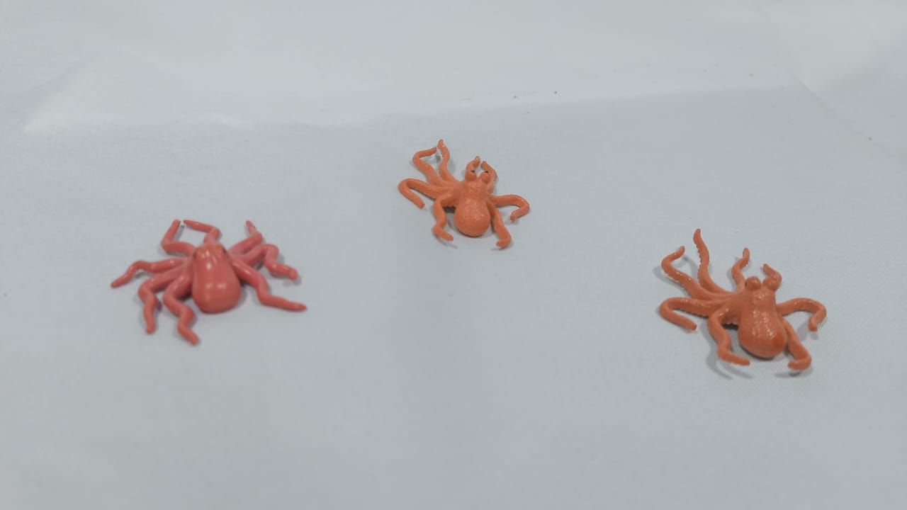 Gran Tesoro del Océano: Expedición Acuática.