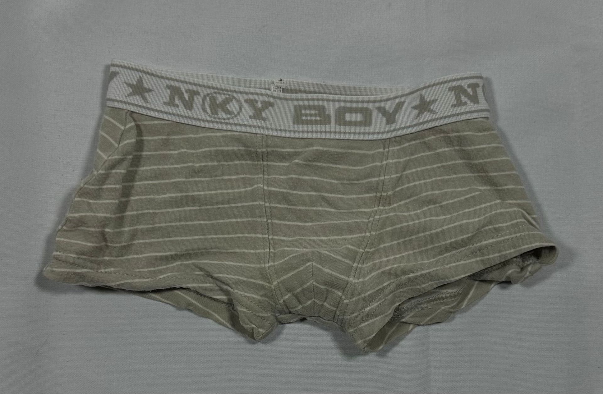 2 Boxers de 2 años.