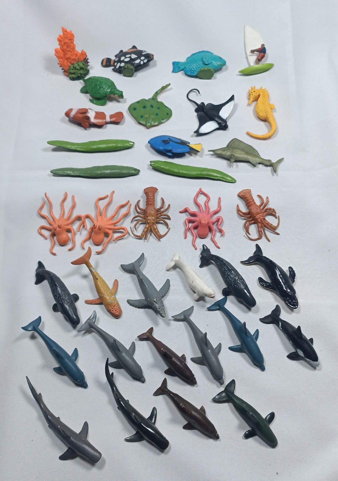 Gran Tesoro del Océano: Expedición Acuática.