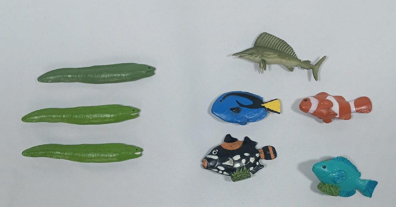 Gran Tesoro del Océano: Expedición Acuática.