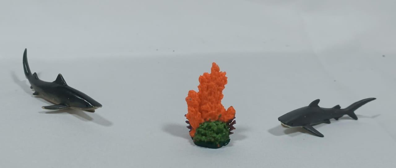 Gran Tesoro del Océano: Expedición Acuática.