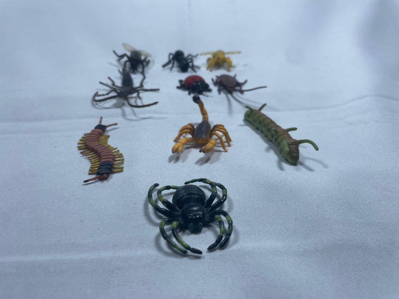 Megapack de Bichos: Micro Mundo de Aventura.