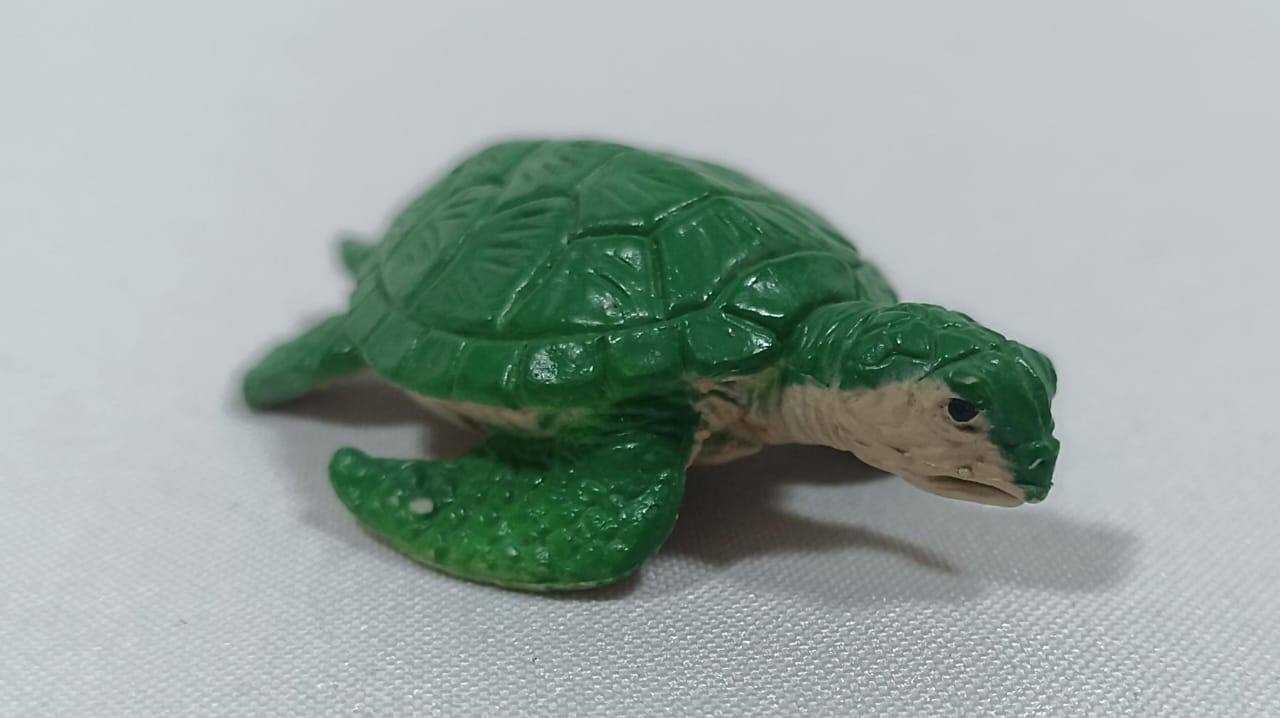 Gran Tesoro del Océano: Expedición Acuática.