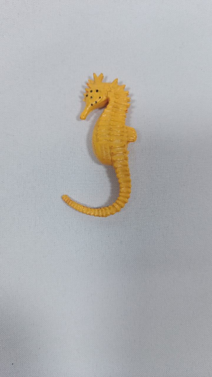 Gran Tesoro del Océano: Expedición Acuática.