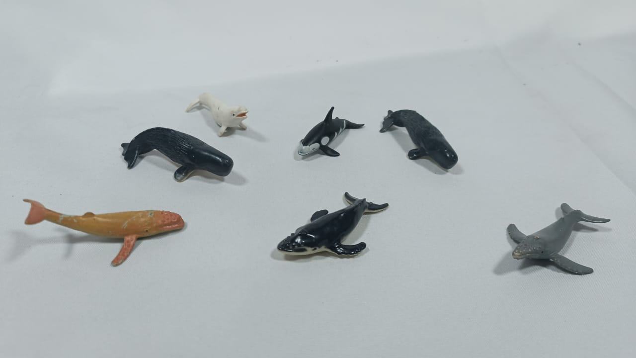 Gran Tesoro del Océano: Expedición Acuática.